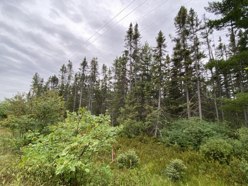 Listing Photo for 11301 N Whitefish Point Rd