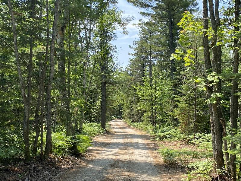 Listing Photo for LOT 28 N Whitefish Point Rd