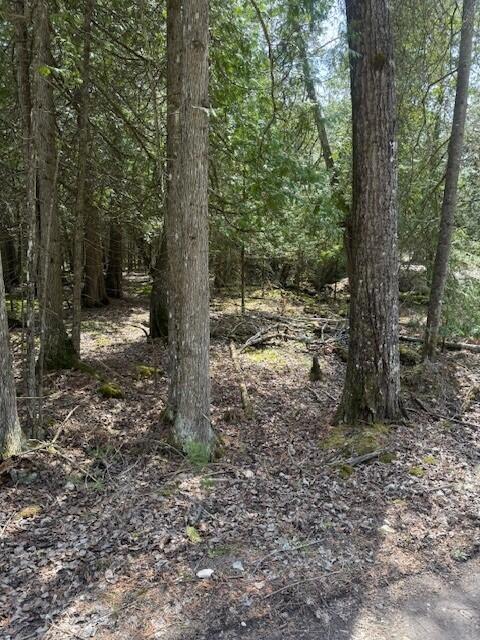 Listing Photo for 1.09AC Stoney Point Rd