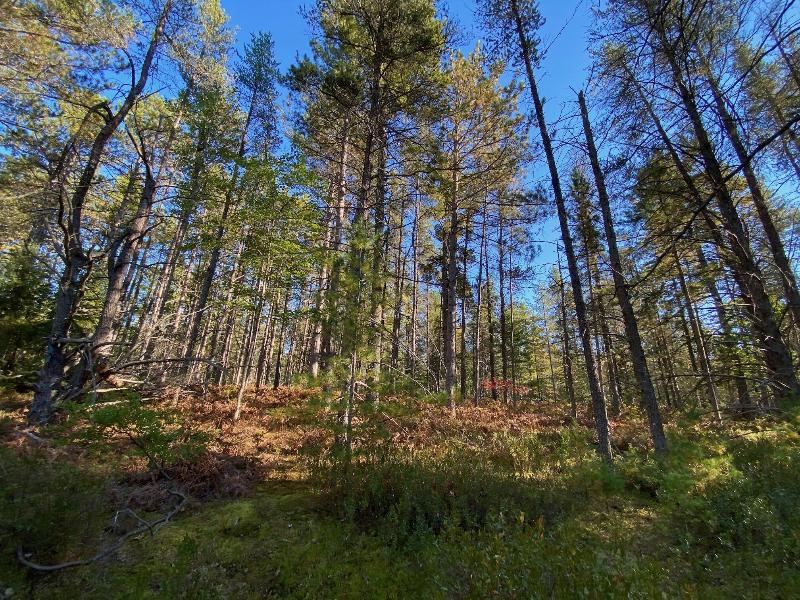 Listing Photo for 12545 N Whitefish Point Rd