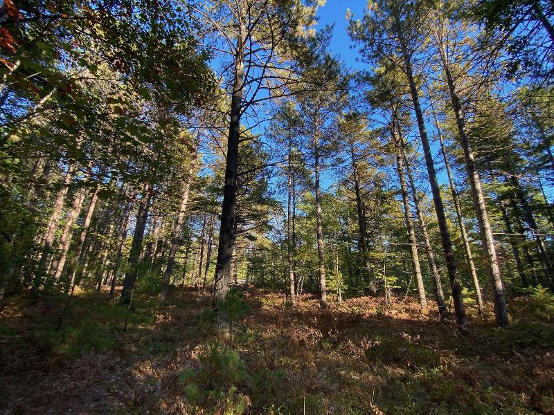 Listing Photo for 12545 N Whitefish Point Rd