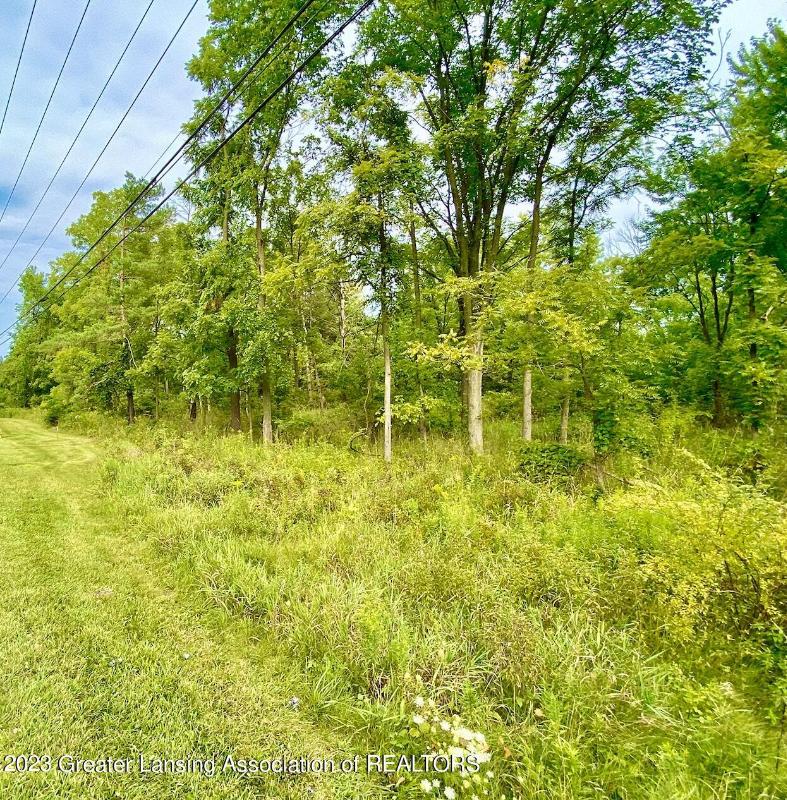 Listing Photo for 0 PARCEL B W Willow Highway