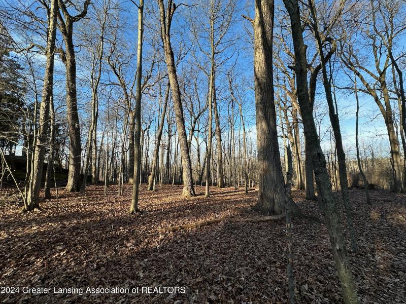 Listing Photo for 6445 Pine Hollow - Lot 22 Drive