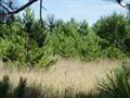 Listing Photo for 7035 Rolling Meadow Trail LOT #11