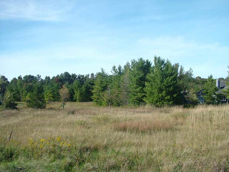 Listing Photo for LOT 16 Old Orchard Road