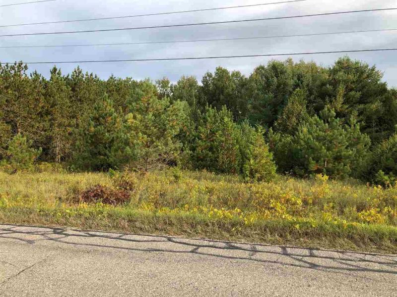 Listing Photo for TBD Us 131 @ M-32, SOUTH PARCEL ONLY