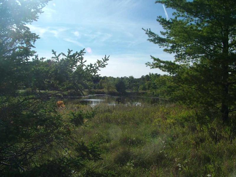 Listing Photo for LOT 38 Old Orchard Road