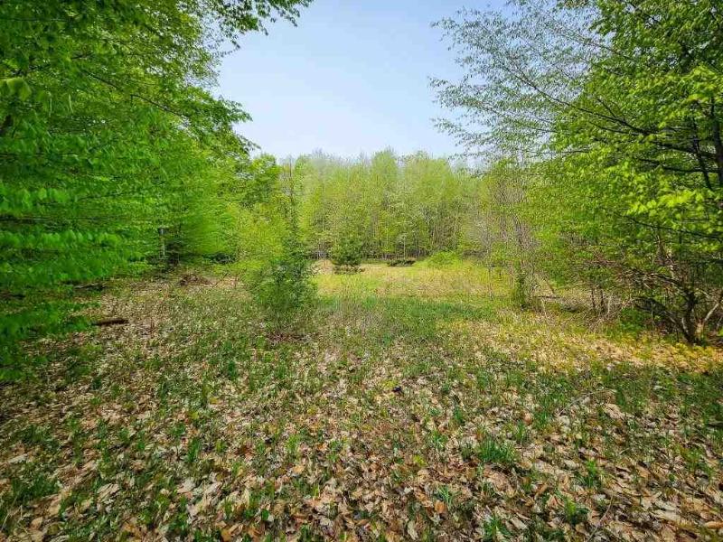 Listing Photo for TBD Pleasantview Road