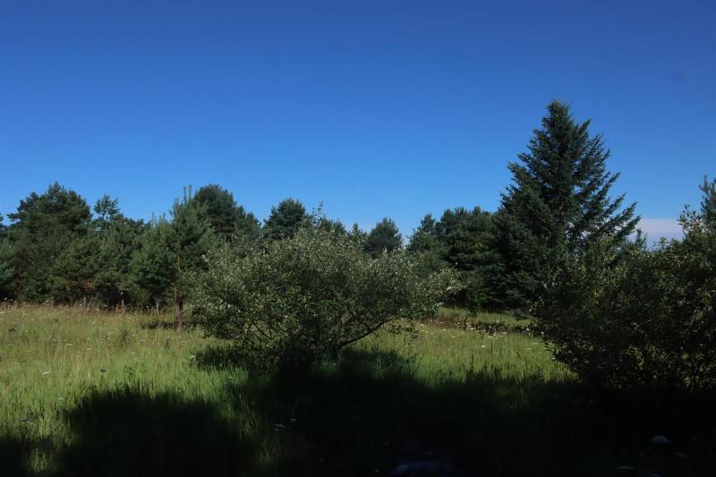 Listing Photo for TBD Boyne View Pass (lot A)