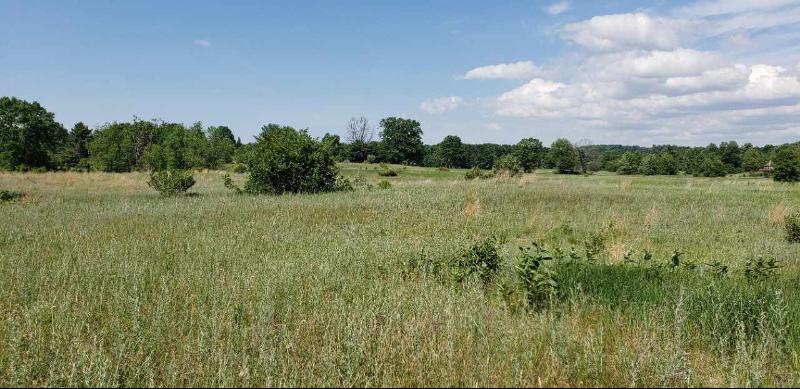 Listing Photo for LOT 27 Alden Meadows 27