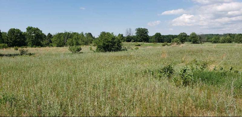 Listing Photo for LOT 43 Alden Meadows