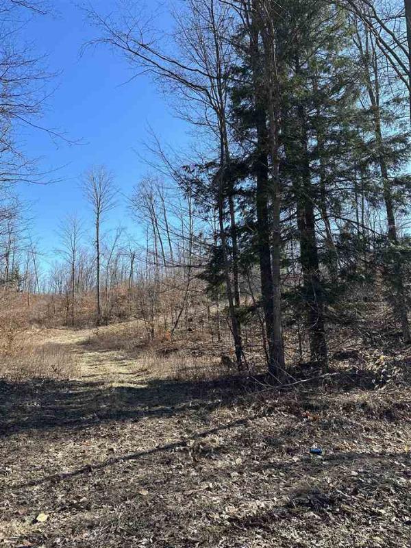 Listing Photo for LOT 3 High Pines Trail