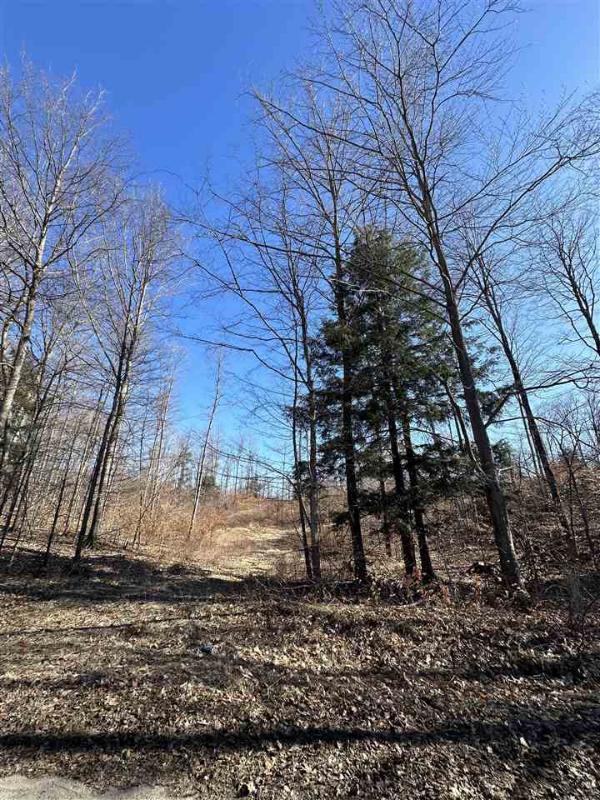 Listing Photo for LOT 3 High Pines Trail