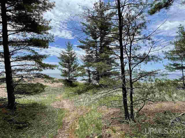 Listing Photo for 200 ACRES W Top O' The Lake Road