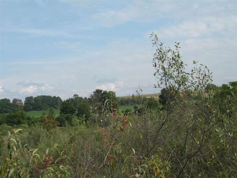 Listing Photo for LOT  6 Foxview Drive LOT 6