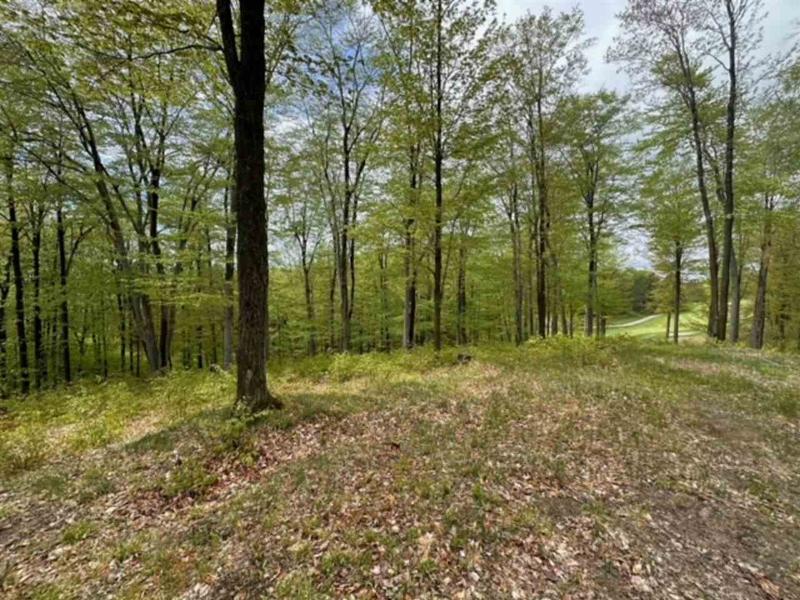 Listing Photo for LOT 64 Lost Woods Drive