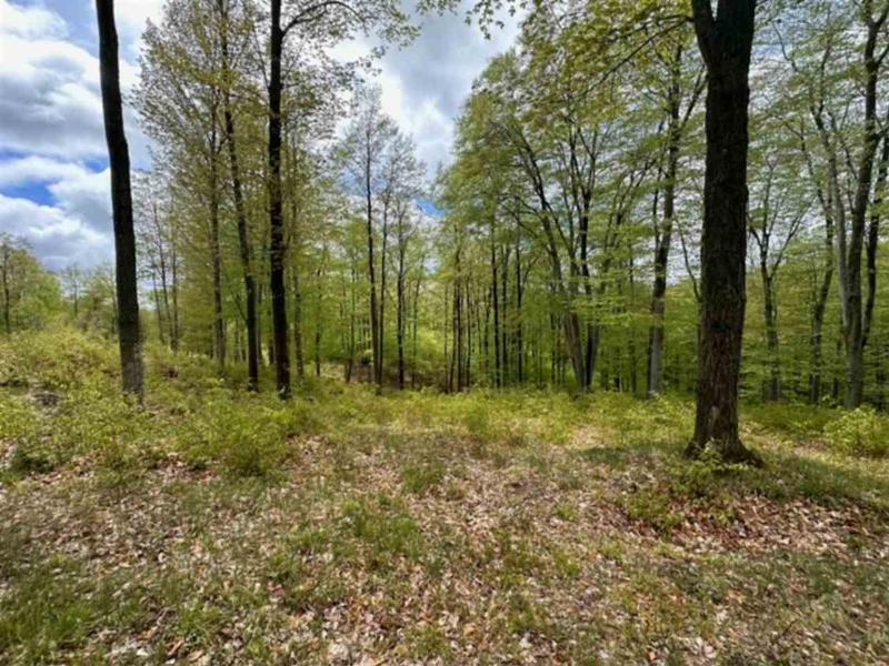 Listing Photo for LOT 64 Lost Woods Drive