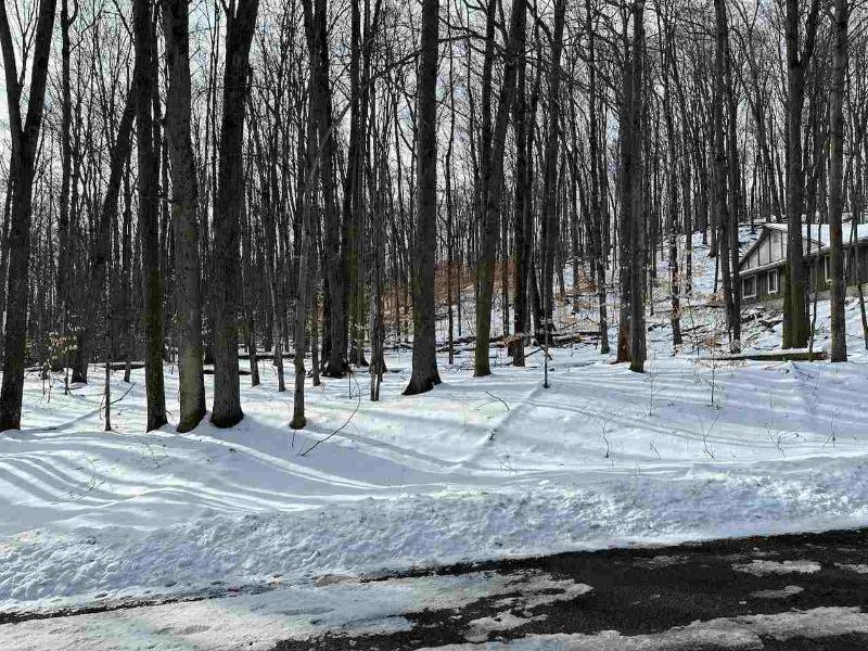 Listing Photo for LOT 51 Val D'Isere Drive 51