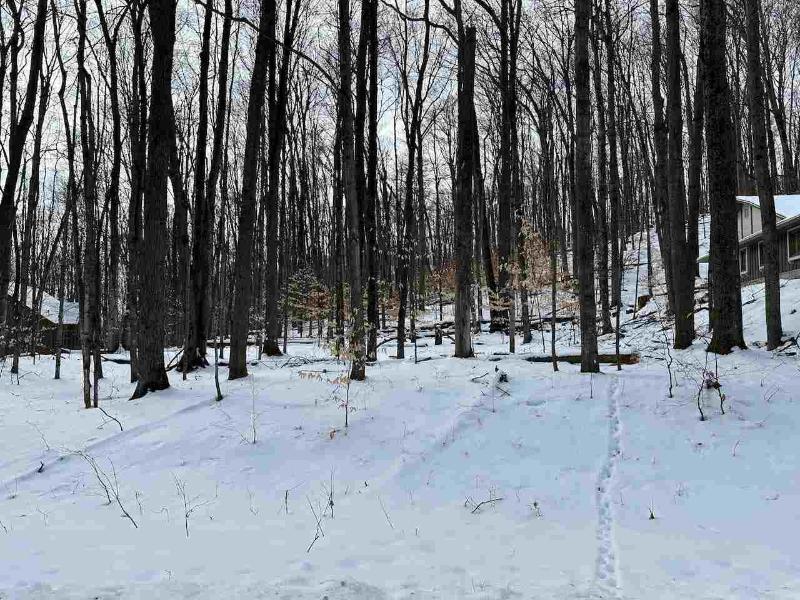 Listing Photo for LOT 51 Val D'Isere Drive 51