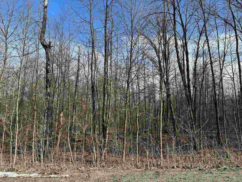 Listing Photo for LOT 351 Dellwood Drive 351