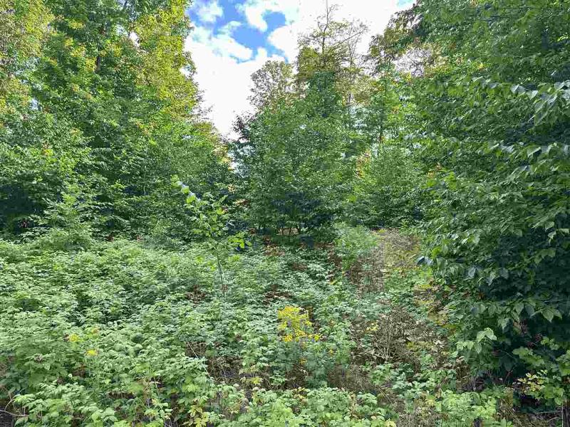 Listing Photo for LOT 7 & 8 High Pine Trail