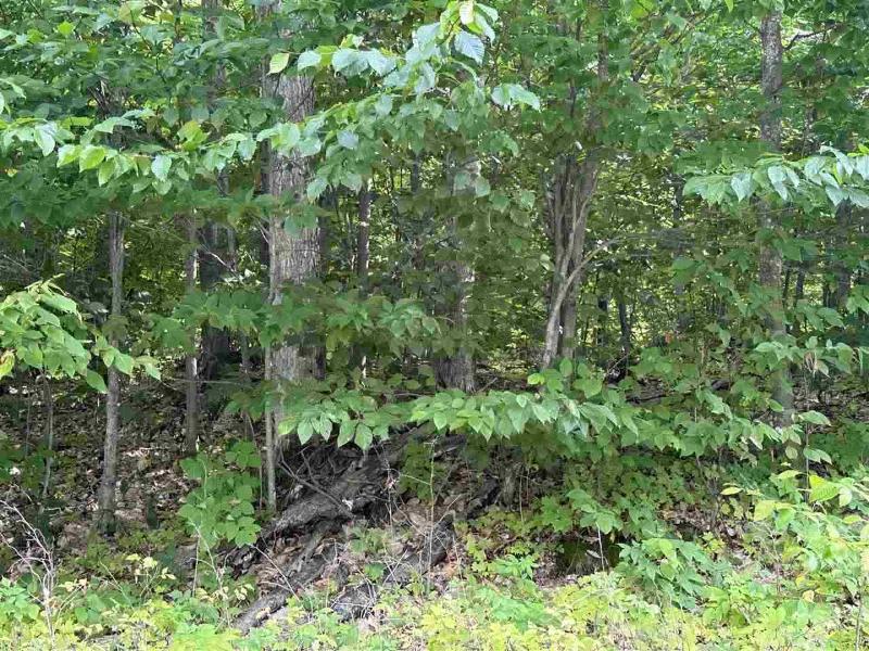Listing Photo for LOT 7 High Pines Trail