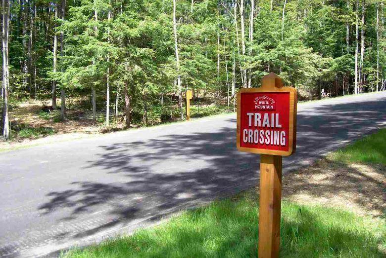 Listing Photo for LOT 8 High Pines Trail