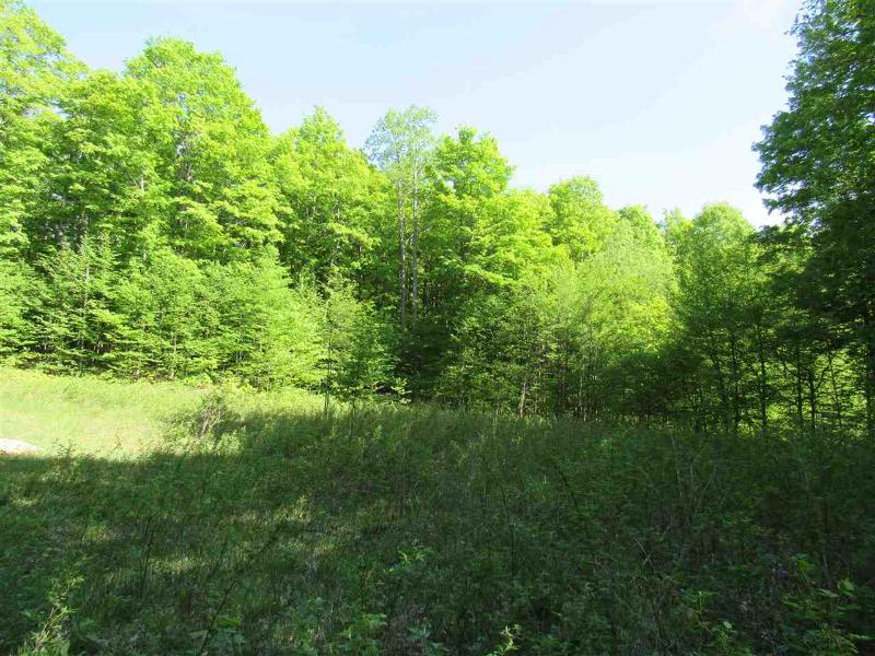 Listing Photo for 11278 Berry Creek Valley Rd 19