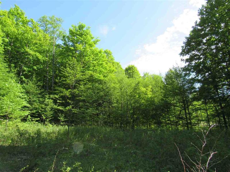 Listing Photo for 11278 Berry Creek Valley Rd 19