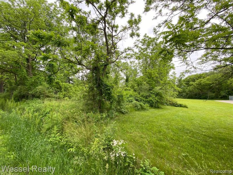 Listing Photo for 0 31 Mile Road