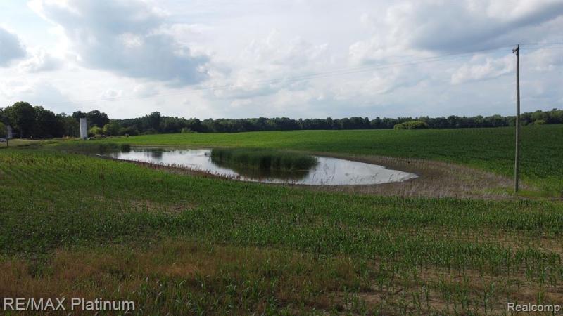 Listing Photo for V/L Crooked Lake Road