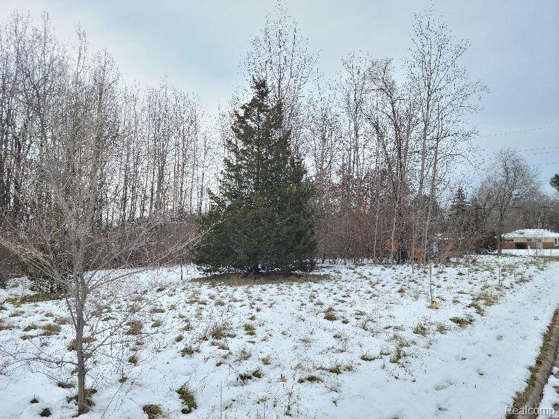 Listing Photo for 0000 Williams Lake Road