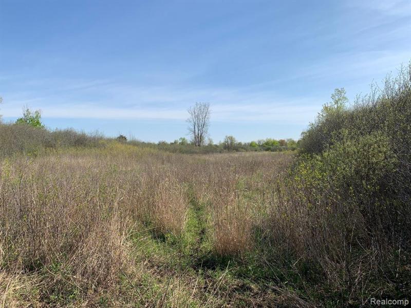 Listing Photo for VACANT Little Lake Road