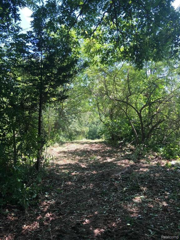 Listing Photo for 3 ACRES Taylor Lake Road