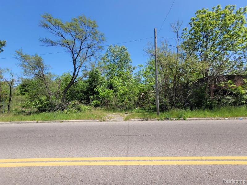 Listing Photo for 17886 Dequindre Street