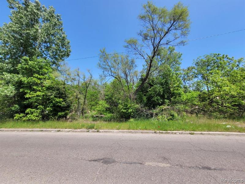 Listing Photo for 17886 Dequindre Street
