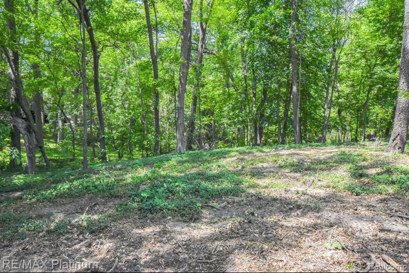 Listing Photo for LOT 177 Pinetum