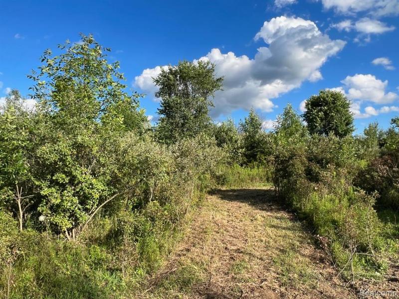 Listing Photo for PARCEL 009 Great Barrington Drive