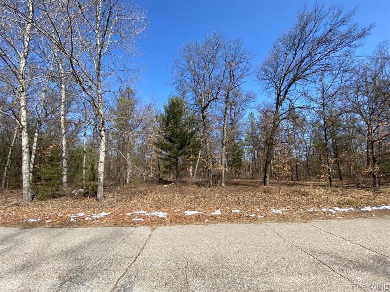 Listing Photo for 0000 Whitetail Drive