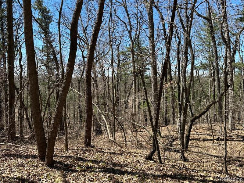 Listing Photo for 11.01 ACRES VACANT LAND Knights Bridge Road