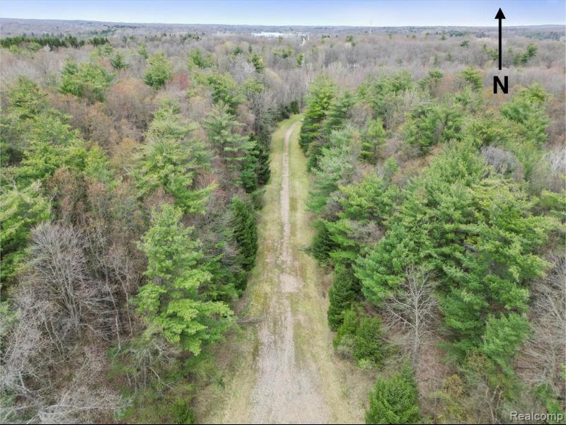 Listing Photo for 11.01 ACRES VACANT LAND Knights Bridge Road