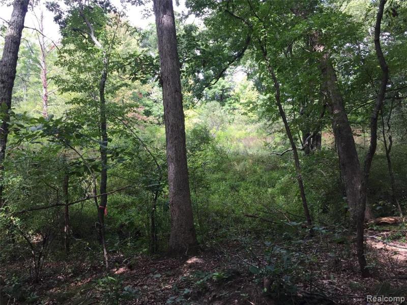 Listing Photo for 00_WHITEWOOD_VACANT Whitewood Road N