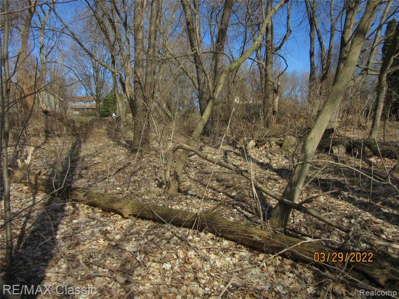 Listing Photo for LOT 19 Milford Heights