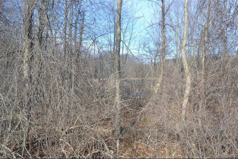 Listing Photo for VACANT Oak Grove Road