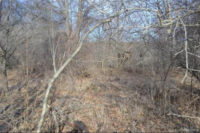 Listing Photo for VACANT Oak Grove Road