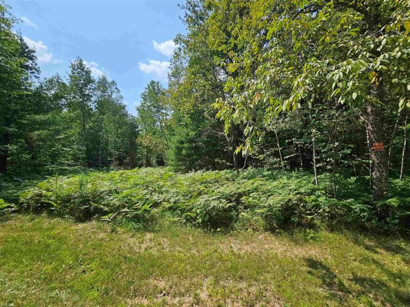 Listing Photo for 0 Iroqouis Trail