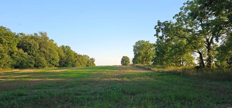 Listing Photo for 0 Prattville Road