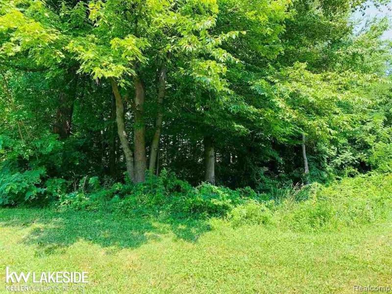 Listing Photo for 29595 Hickey (lot 8) Rd