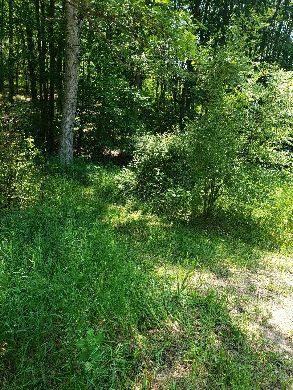 Listing Photo for LOTS 6 & 7 Townline Lake