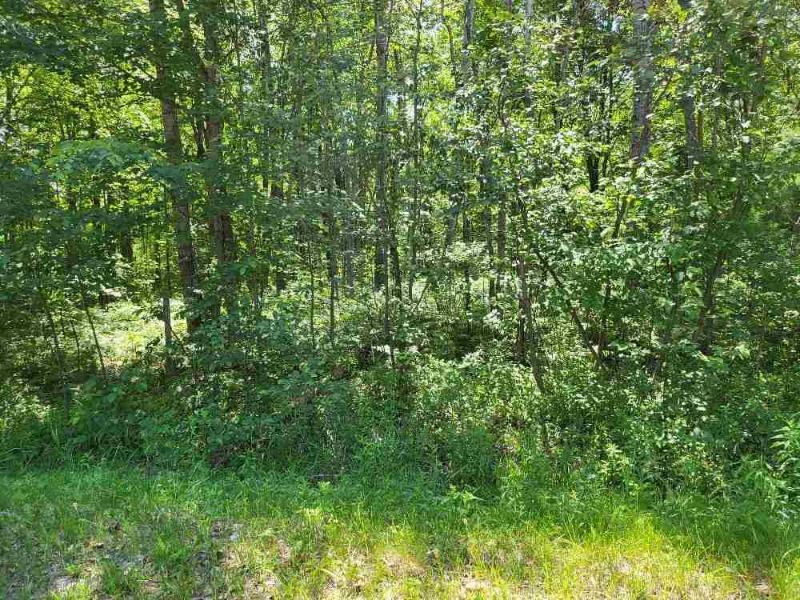 Listing Photo for LOT 69 Pineway